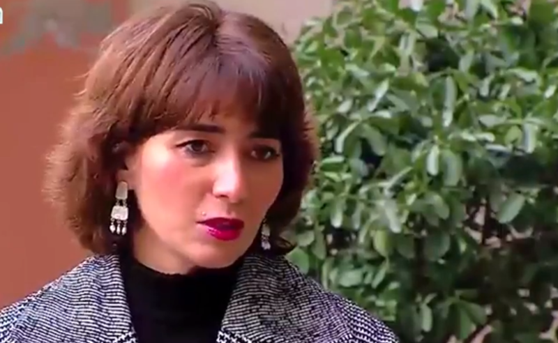 ივანიშვილს აქვს მცდელობა თაღლითის იარლიყი მიაწებოს ბიზნესმენებს - ეკა გიგაური