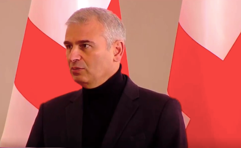 ორი დღით ადრე ეუბნები პარლამენტის თავმჯდომარეს, არაა კორექტული - ქადაგიშვილი ევროპარლამენტარებზე