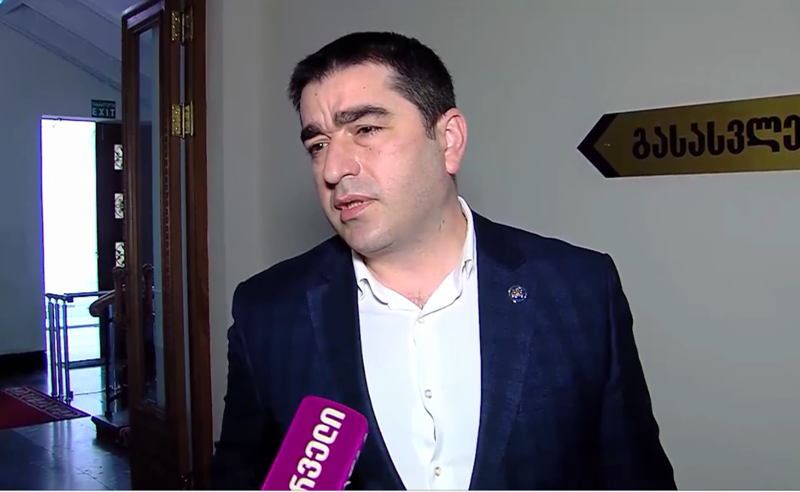 რატომ არ შეხვდა  პაპუაშვილი ევროპარლამენტარებს?  - პარლამენტის თავმჯდომარის პირველი განმარტება 