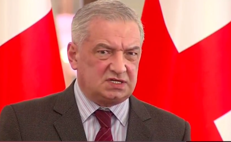 ლონდა თოლორაია ჩამოყალიბდა როგორც გარკვეული პოლიტიკური პლატფორმის შემადგენელი ნაწილი - ვოლსკი 