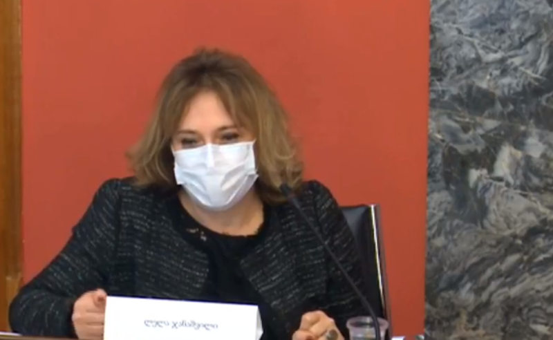 "ვირჩევდი პოლიტიკურ ნეიტრალიტეტს"  - პერსონალურ მონაცემთა სამსახურის უფროსობის კანდიდატი