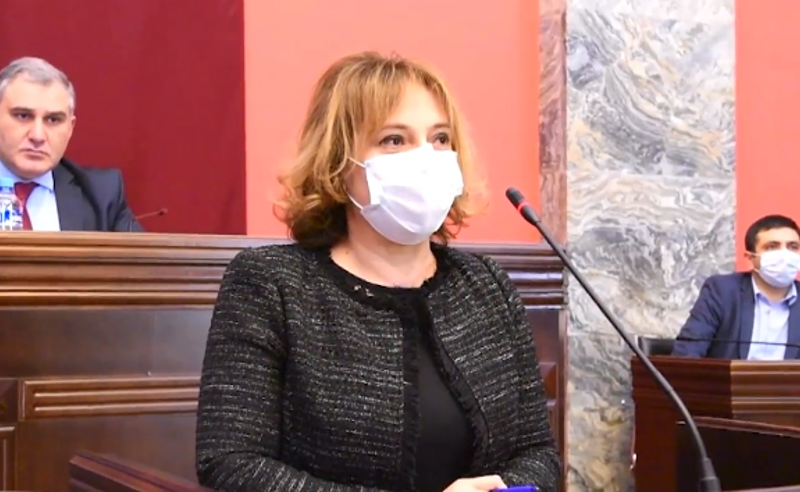 ადამიანის უფლებათა  კომიტეტმა პერსონალურ მონაცემთა დაცვის სამსახურის უფროსის პოსტზე  ჯანაშვილს დაუჭირა მხარი