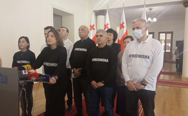 თავისუფლება მიშას, ოპოზიცია არ შეწყვეტს ბრძოლას - ენმ-ს საგანგებო განცხადება