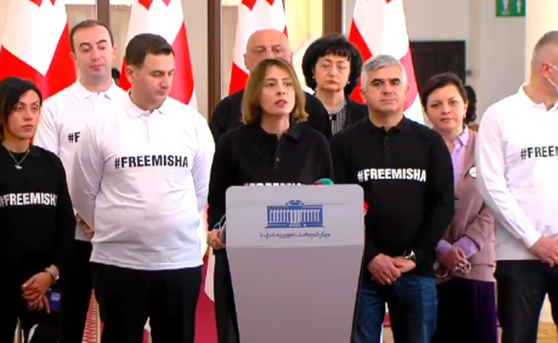"ყველა მანდატი უნდა დაუბრუნდეს ოპოზიციურ პარტიებს" - ენმ-ს მოთხოვნა "ოცნებას"
