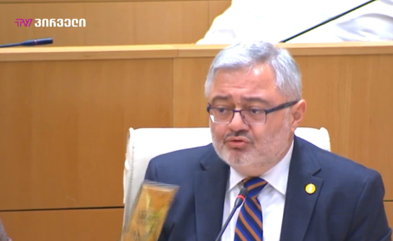 პოლიტიკური „ფეიკ" მართლმსაჯულების აღმასრულებლებად ნუ იქცევით - უსუფაშვილი უმრავლესობას