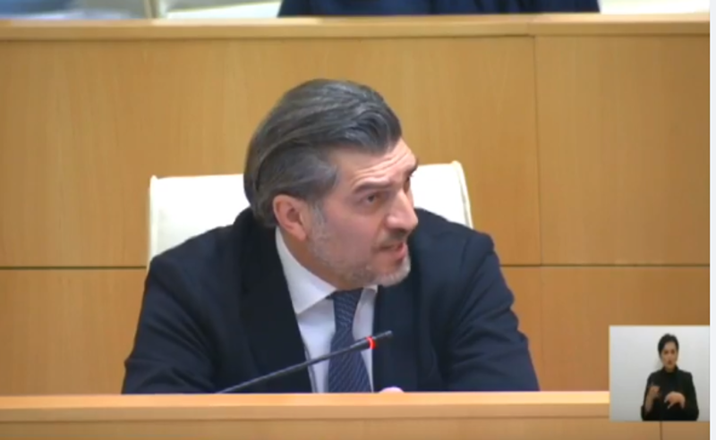 "ჩვენს და თქვენ შორის ვინაც რუსული საქმე გააკეთა, იმის..." -  დედის გინება   პარლამენტში 