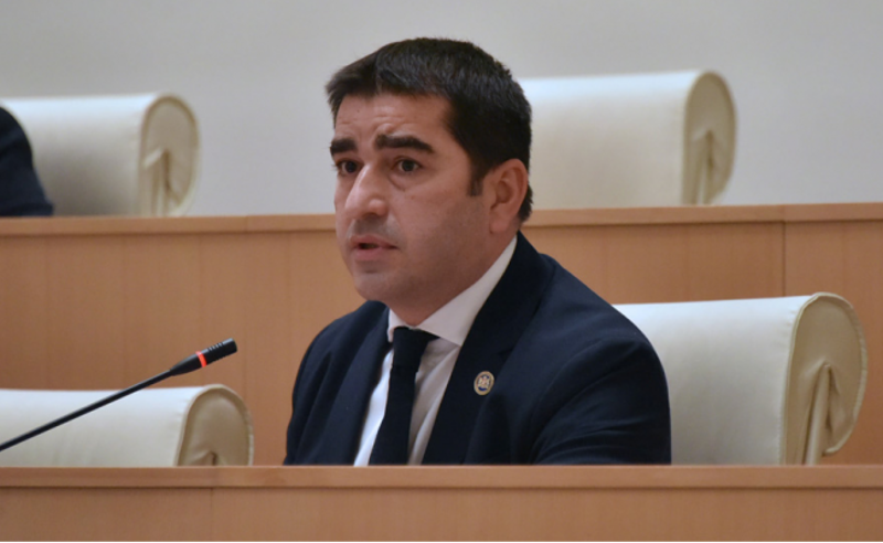 "გულდაწყვეტილი ვართ" -  შალვა პაპუაშვილი რადას თავმჯდომარეს მიმართავს