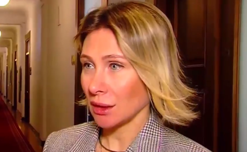"სასაცილო და არასერიოზულ სიუჟეტზე კომენტარს ვერ გავაკეთებ" - წილოსანი ივანიშვილი-ევტუშენკოს აუდიოჩანაწერზე