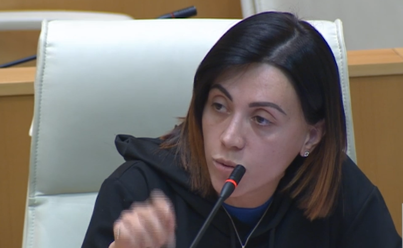 მინისტრობის რამდენი ვადა გჭირდებათ, რომ საბოლოოდ დაადგინოთ რომელ კუნძულზე ისვენებს ბადრი ესებუა - წითლიძე გომელაურს
