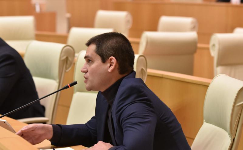  ეთანხმებით თუ არა  ირაკლი კობახიძეს, რომ  ქალბატონმა სალომე ზურაბიშვილმა დაარღვია კონსტიტუცია - დაუშვილი გომელაურს