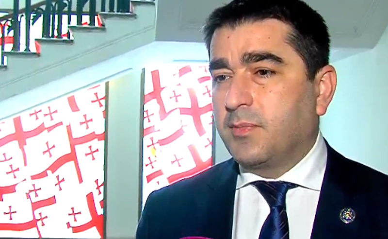 ჩვენ ვთქვით, რომ ენმ-ს და "ლელოს" არცერთ ინიციატივას არ გავიზიარებთ - პაპუაშვილი 