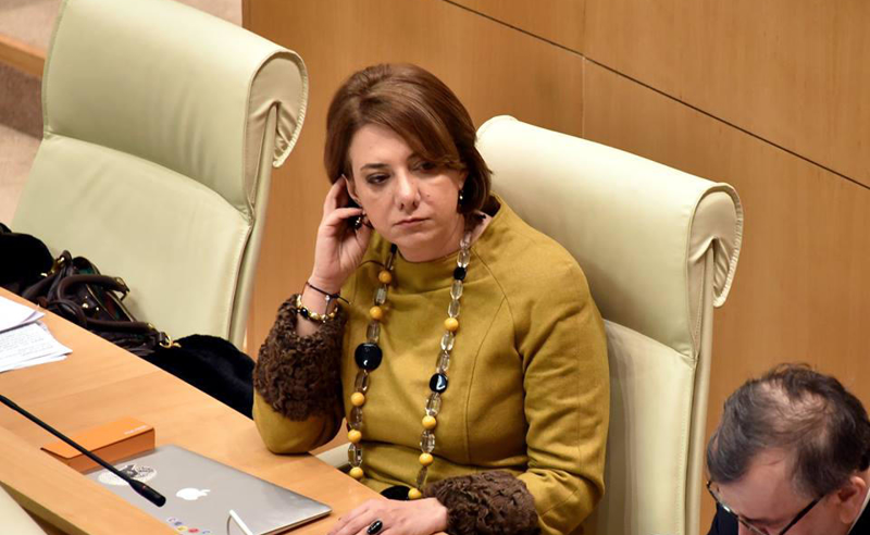 უკრაინა დღეს საქართველოს ხელისუფლებისგან პოლიტიკურ თანადგომას ვერ ხედავს - სალომე სამადაშვილი