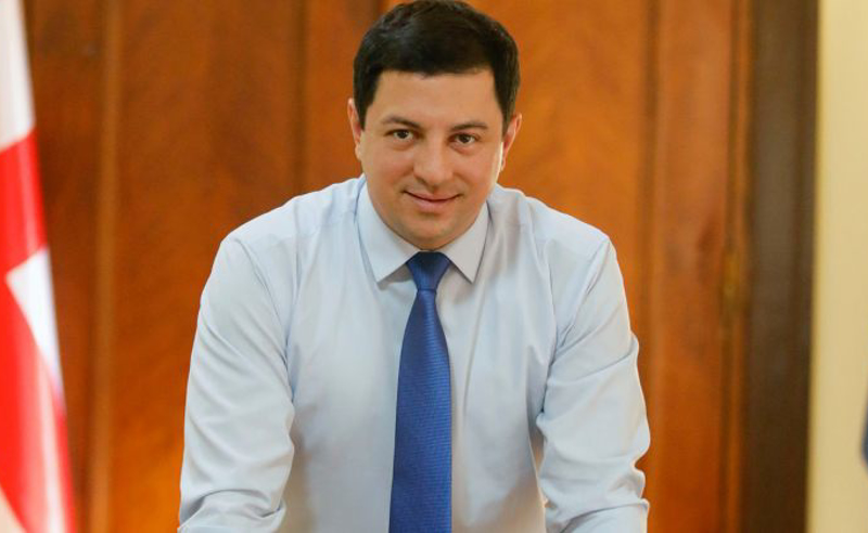 ენმ-ს მსგავსი დესტრუქციული ძალებისთვის კეთდება ხოლმე ასეთი განცხადებები - თალაკვაძე კარასინის განცხადებაზე