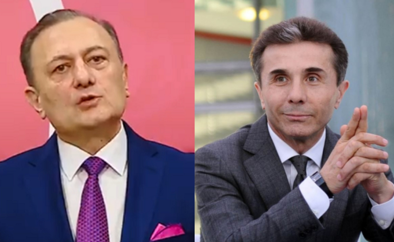 "მიეჩვიოს სასამართლო დარბაზში ყოფნას" - ნათელაშვილი ივანიშვილის წინააღმდეგ 