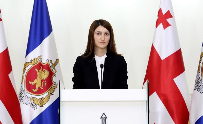საგამოძიებო სამსახურმა ინსპექტორის სამსახურის საიტიდან ყველა მასალა წაშალა - თოლორაია 