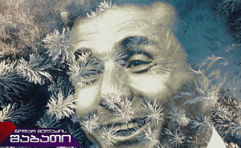 პრემიერის "მოდა' გრძელდება - კიდევ ვის მისცეს ტყე?!  (შაბათის ეთერის ჟურნალისტური გამოძიება) 