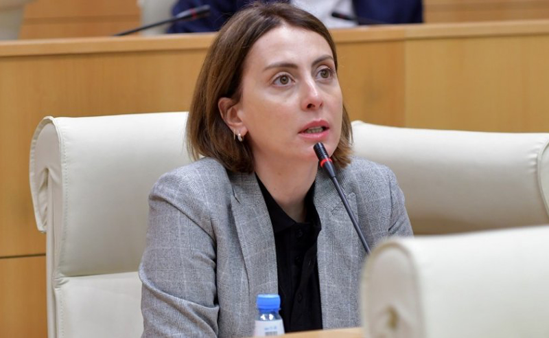 მეგობრებთან ნიშნის მოგებით დამადლება არ უნდა იყოს - ხატია დეკანოიძე ხელისუფლებას