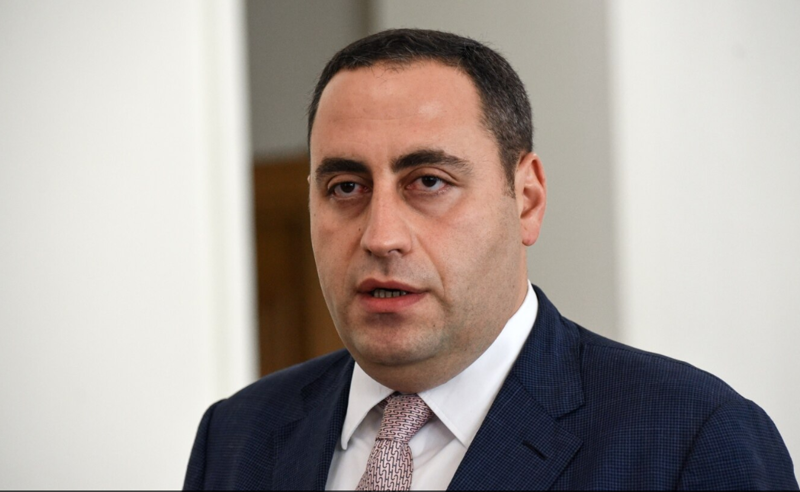 ხელისუფლება მიხვდა, რომ ამ ვირეშმაკობას ვერ გააგრძელებდა - გიორგი ვაშაძე ევროკავშირის კითხვარის გასაჯაროვებაზე