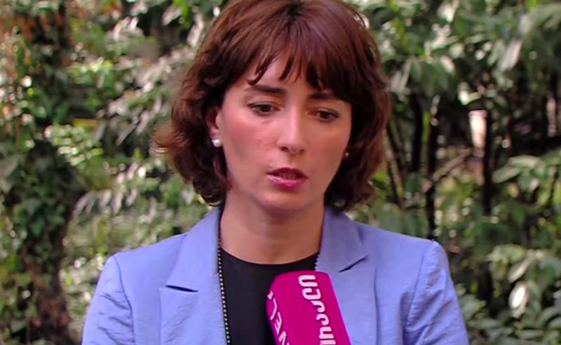 ივანიშვილი მთავრობის წევრებს უნიშნავს შეხვედრებს და მითითებებს აძლევს - ეკა გიგაური ჩანაწერებზე