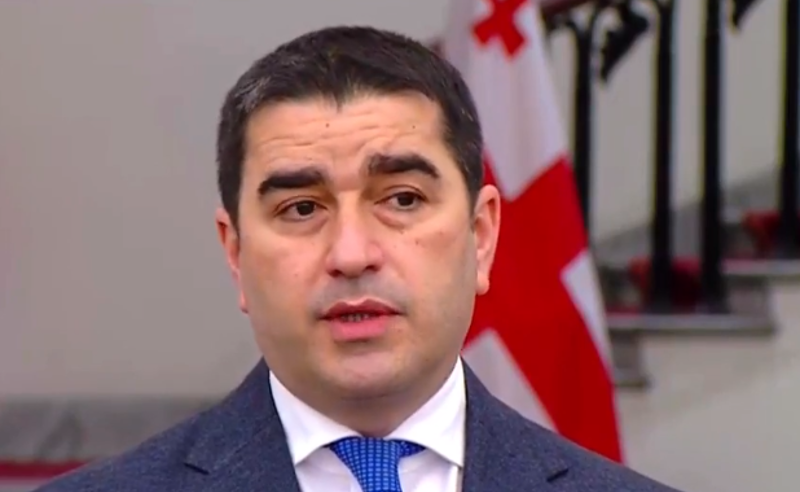 "არ არგებს ჩვენს მეგობრობას" - პაპუაშვილი უკრაინას განმარტებებს სთხოვს