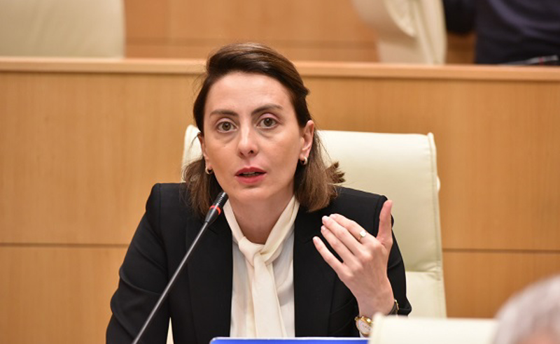 ენმ სააკაშვილთან უცხოელი ექიმების შეშვებას და  საერთაშორისო მედიკოსთა ჯგუფის მიერ მისი მდგომარეობის შესწავლას ითხოვს