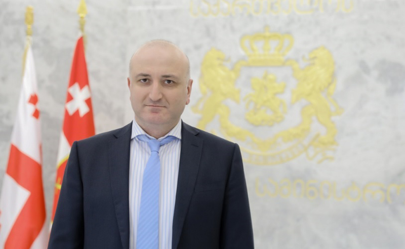 პარლამენტში ჯანდაცვის მინისტრს  ელოდებიან 