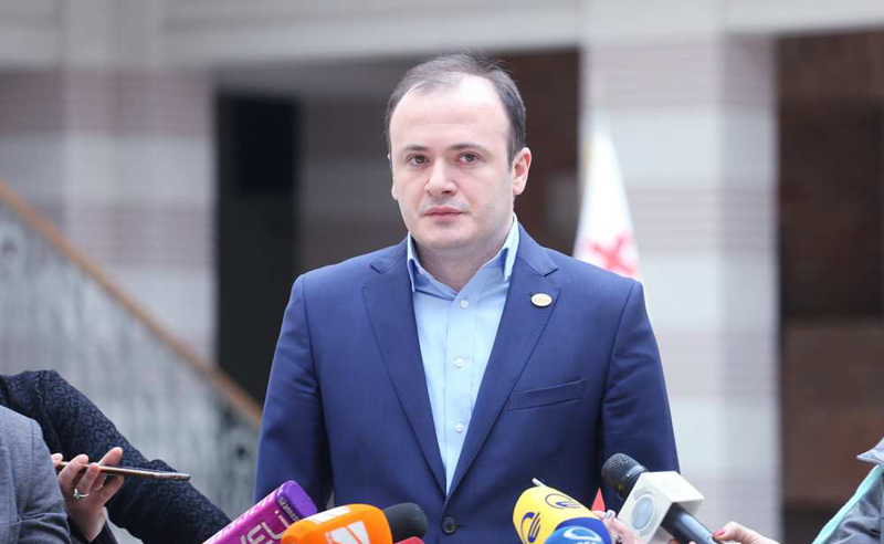 "ხელოვნურად აწეული თემა, ლობისტების გავლენა"- ზარქუა ივანიშვილის ირგვლივ არსებული სკანდალის უკანაც ენმ-ს ხედავს