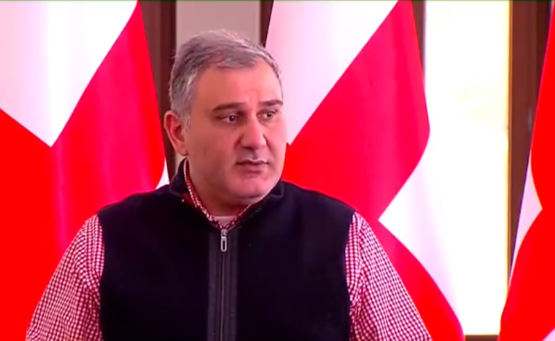 შესაძლოა, ვინმე დაინტერესებულია საქართველოში ომით - მიხეილ სარჯველაძე ივნიშვილის ტრანზაქციის შეფერხებაზე
