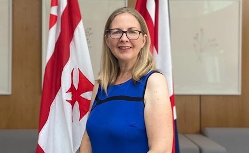 იმედგაცრუებული ვარ გვარამიას დაპატიმრების გამო – ბრიტანეთის ელჩის მოვალეობის შემსრულებელი