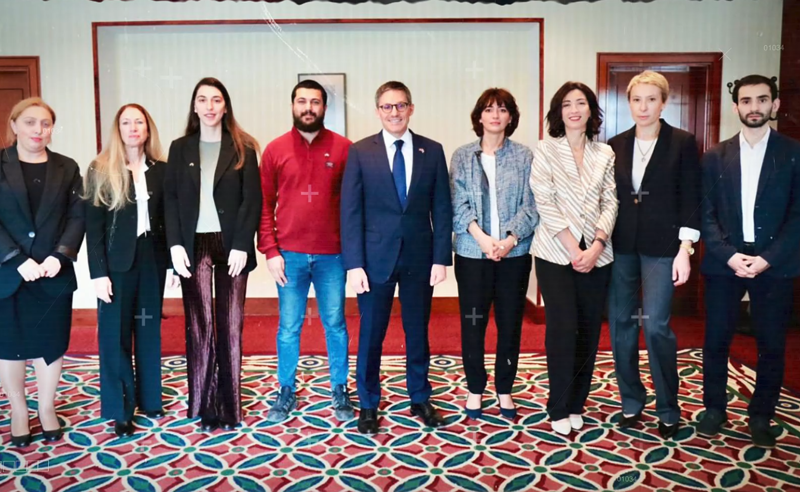 პოლიტიკური მართლმსაჯულება, პოლიტიკურად მოტივირებული საქმეები და ზეწოლა კრიტიკულ მედიაზე -  NGO-ები დერეკ შოლესშეხვდნენ