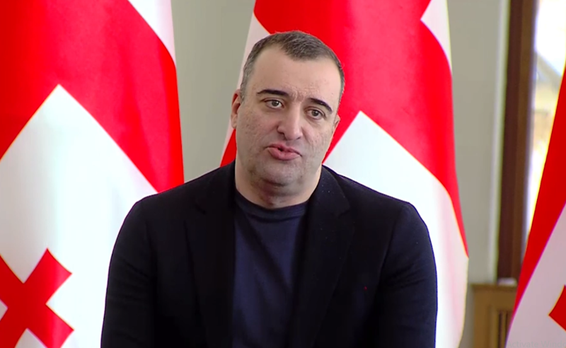 გულდასაწყვეტია, როდესაც ევროპარლამენტარები არა ქვეყანას, არამედ კონკრეტულ პირებს გულშემატკივრობენ - იონათამიშვილი 