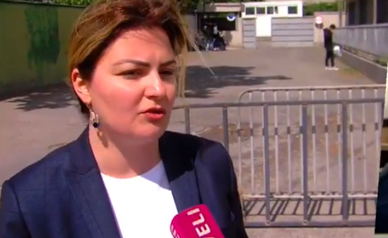 დემოკრატიულ სახელმწიფოში მედიებს არ ებრძვიან- ანა ნაცვლიშვილი