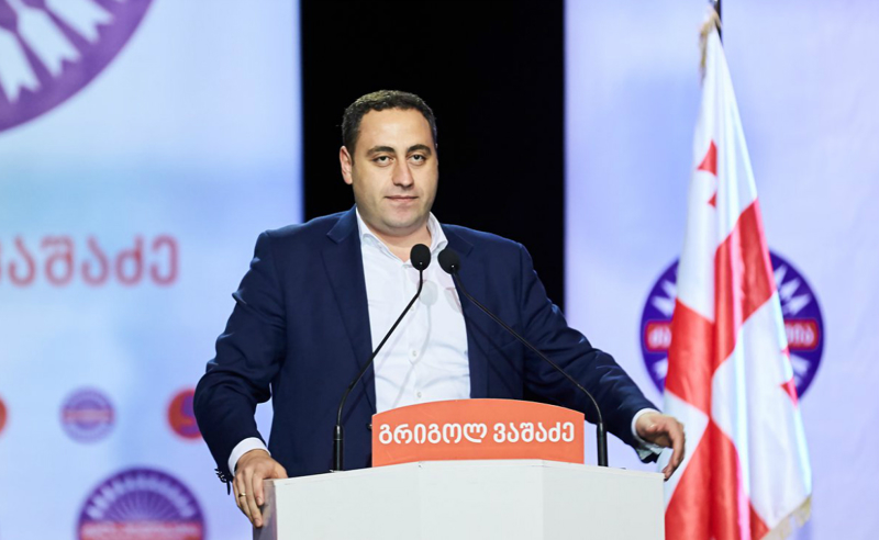 ოცნებაში ყველაფერს აკეთებენ, რომ მარტო, პირდაპირ დავრჩეთ რუსეთთან - გიორგი ვაშაძე EPP-ს რეზოლუციაზე