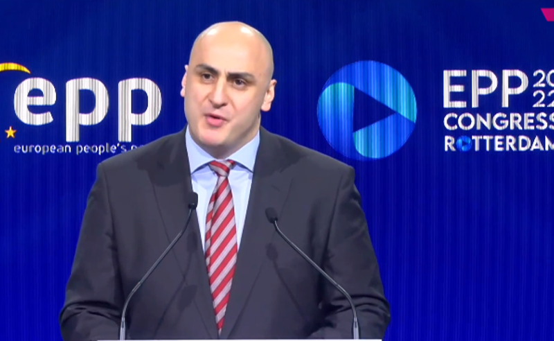 ჩვენ გვსურს ევროპაში ყოფნა, რომ მიტაცებული სახელმწიფო დავიბრუნოთ - ნიკა მელია