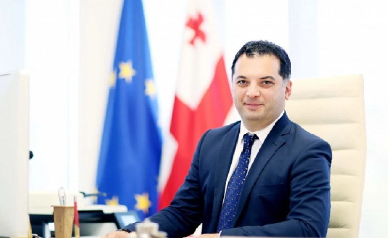 თბილისის ვიცე-მერს თავი არ მოუკლავს - ოჯახი გამოძიებას უნდობლობას უცხადებს