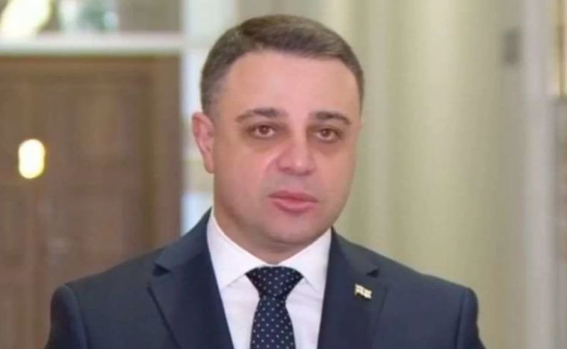 ვიტოვებთ უფლებას, არ დავეთანხმოთ პრეზიდენტს მთელ რიგ საკითხებში - ალუდა ღუდუშაური