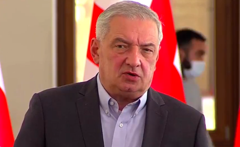 "უტიფარი დისკრედიტაცია" - ვოლსკი ევროპარალემნტარების რეზოლუციაზე