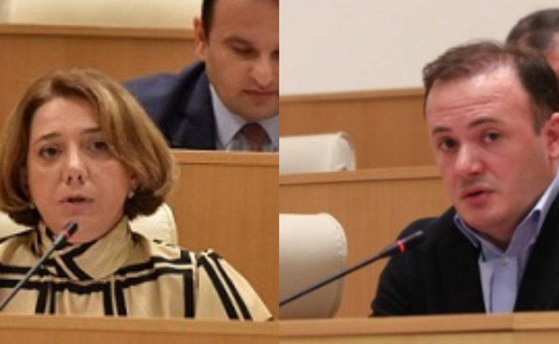 ხელმოცარული დიპლომატი ხარ, ისიც ყოფილი - ზარქუა სალომე სამადაშვილს