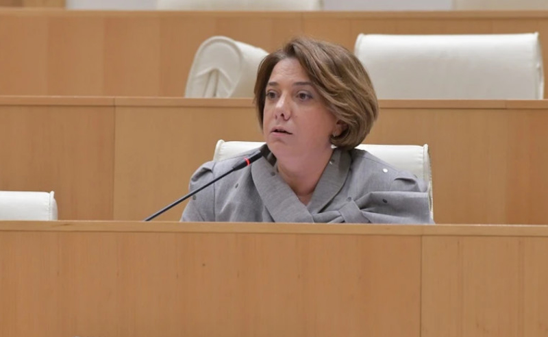 ლევან ბერძენიშვილი დაიქირავეთ, რომ ლოგიკურ მეტყველებაში გავარჯიშოთ - სალომე სამადაშვილი "ოცნებას"