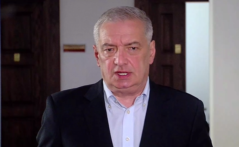 ხუნდაძის განცხადება პარტიის პოლიტიკური გუნდის ოფიციალური პოზიცია არ არის  - ვოლსკი