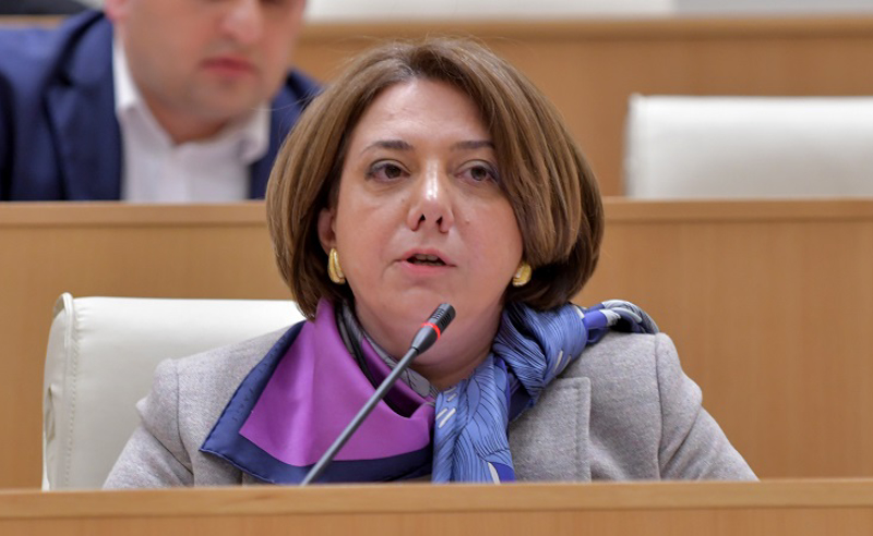 შარლ მიშელც ცოტა დააკლდა, რომ ირაკლი ღარიბაშვილი კაბინეტიდან არ გაეგდო - სალომე სამადაშვილი