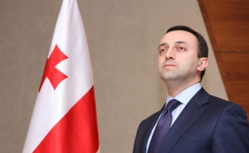 მაგ რეზოლუციას მე ვაპროტესტებ - ირაკლი ღარიბაშვილი