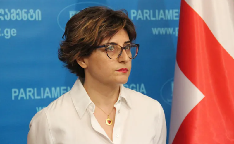 "იქნება სერიოზული დათქმები, რომლის შესრულებასაც "ოცნება" თავს აარიდებს" - სამნიძე ევროკომისიის გადაწყეტილებაზე