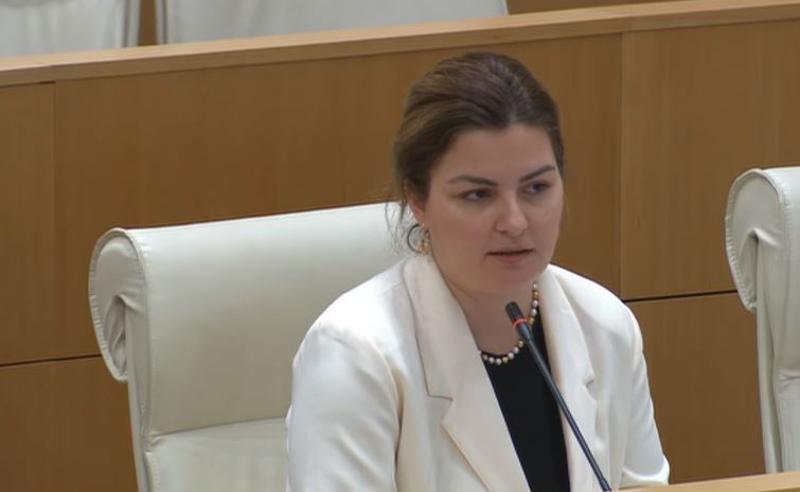 ძალიან აჭრილები ხართ, ჩამოყალიბდით, თქვენი იყო ეს ხალხი, თუ "ნაცმოძრაობის"? - ნაცვლიშვილი "ოცნებას"