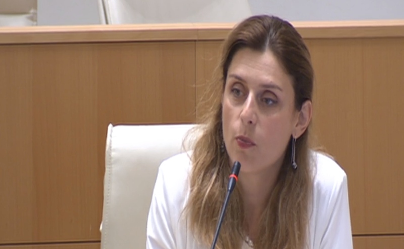 "საბჭოური ლოზუნგის სტილში" - თეონა აქუბარდიამ პრემიერი ხრუშოვს შეადარა