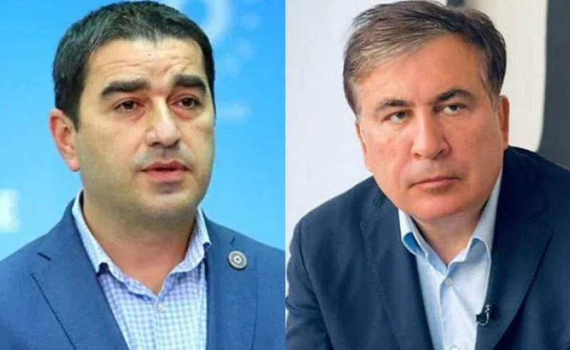 ეს, უბრლოდ 20-მდე პოლიტიკოსის ხელმოწერილი წერილია - პაპუაშვილის მტკიცებით, დოკუმენტი "ასაბლეას" არ მოუწოდებია