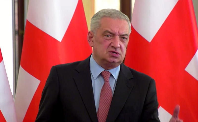 თეა კატუკია სალომე ზურაბიშვილის რეკომენდაციით მოიყვანეს - ვოლსკი