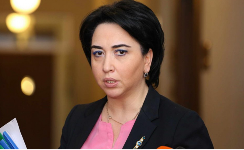 "ოცნება" ღრმა კრიზისშია, პარტია კობახიძის ამარა დარჩა - ეკა ბესელია