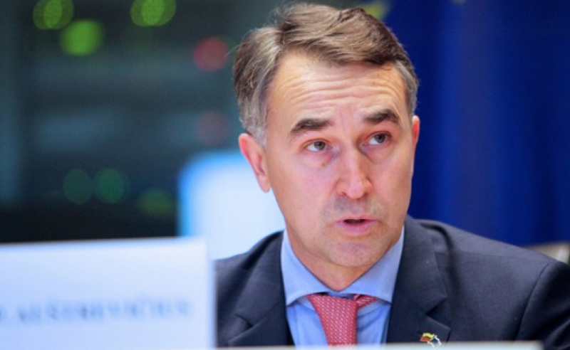 "კობახიძის გამონათქვამები პოლიტიკური პროვოკაციაა“ - ევროპარლამენტარი 