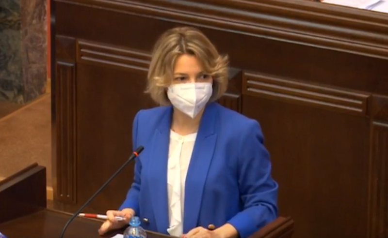 ომბუდსმენის ანგარიშს "ოცნება" ბლოკავს - პარლამენტმა ლომჯარიას მოსასმენად დრო ვერ გამონახა